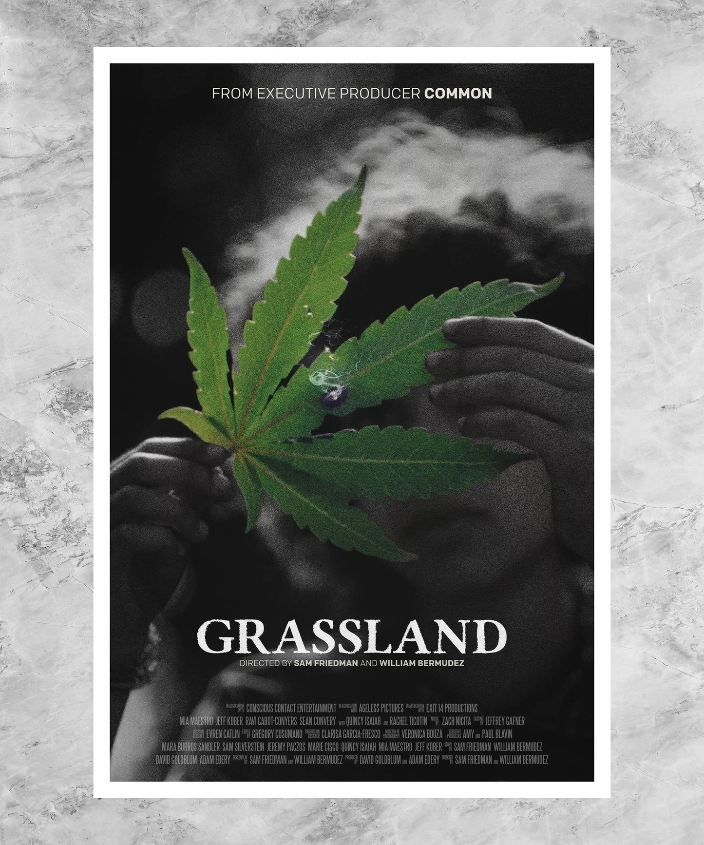 Grassland Poster