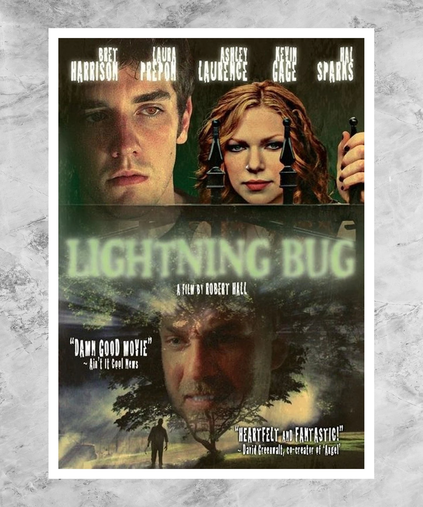 Lightning Bug Poster