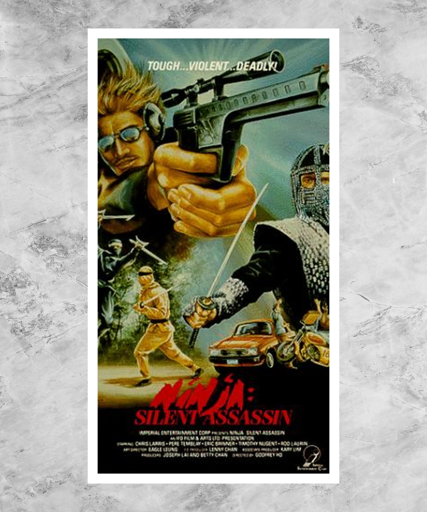 Ninja: Silent Assassin Poster