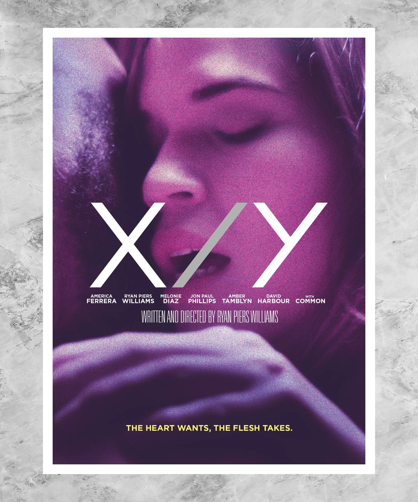 X/Y Poster