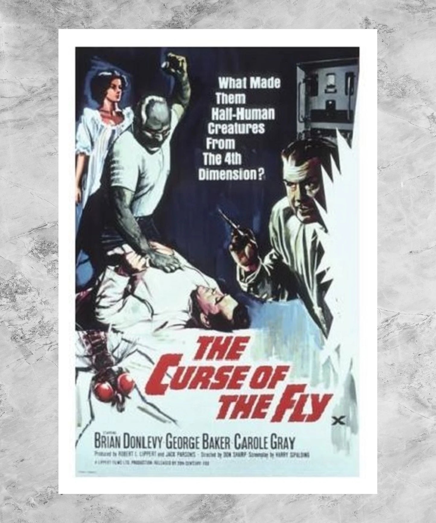 Curse of the Fly Poster