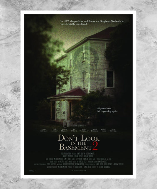 Don't Look in the Basement 2 Poster