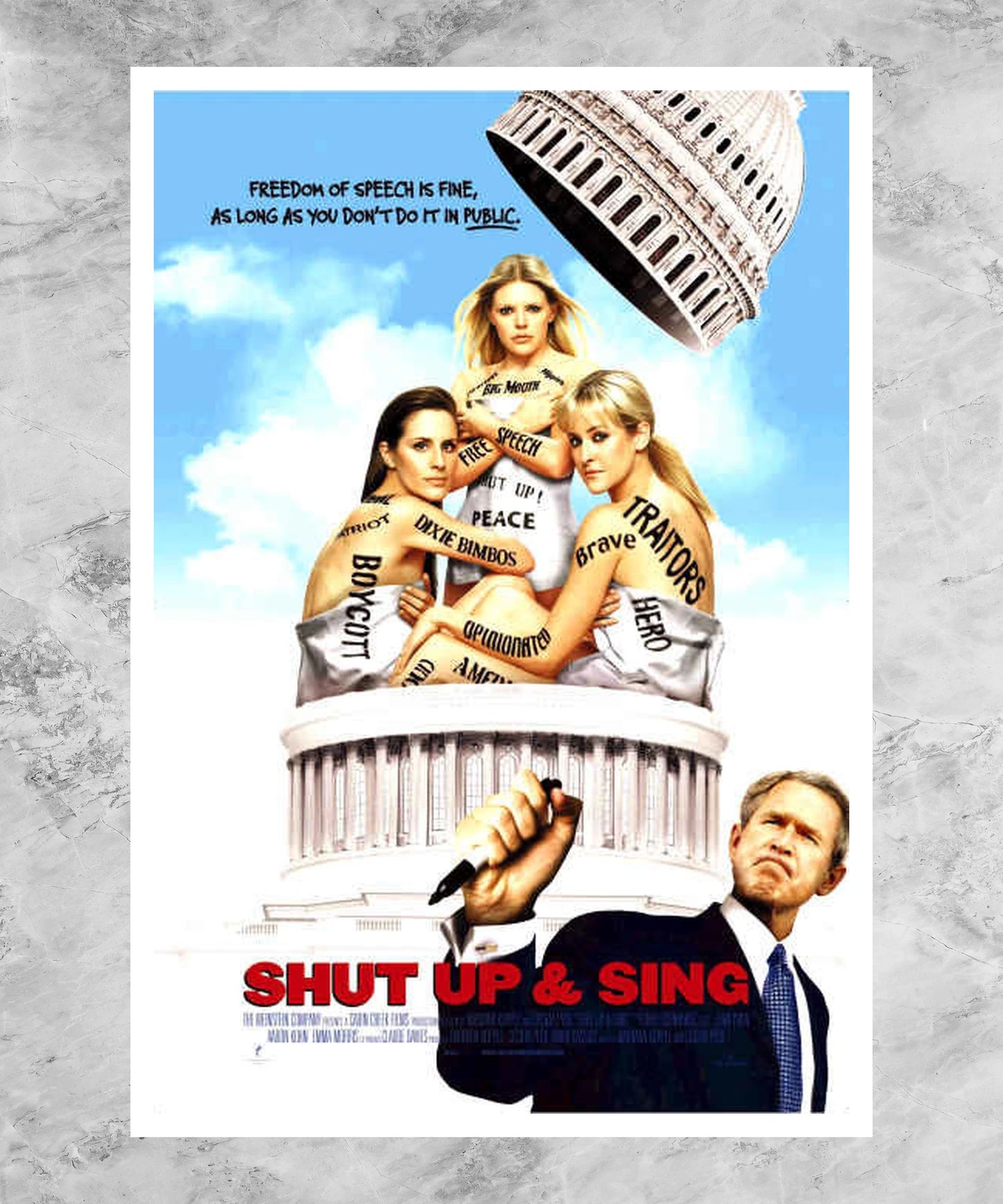 Shut Up & Sing Poster