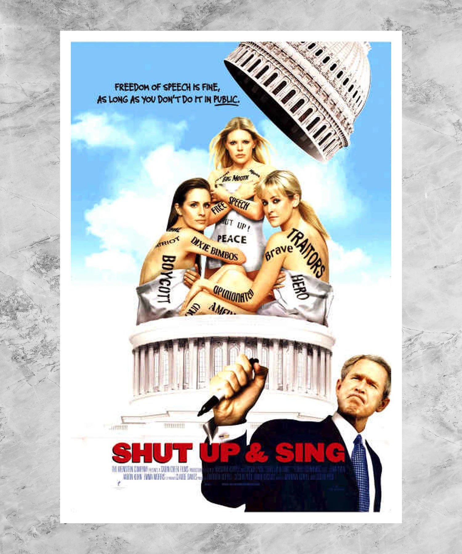 Shut Up & Sing Poster