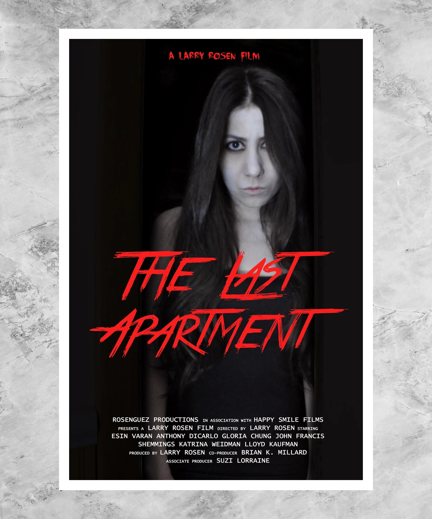 The Last Apartment Poster